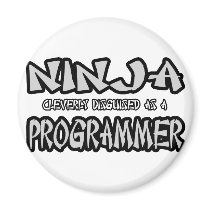 Ninja...Programmer magnets