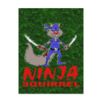 Ninja Squirrel postcards