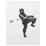 Ninja Style flyers