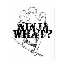 NINJA WHAT? posters