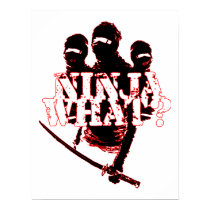 NINJA WHAT? posters
