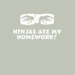 Ninjas ate my homework