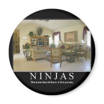 ninjas magnets