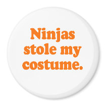 Ninjas stole my costume refrigerator magnet