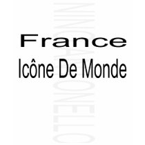 Nino Antonello Grey Scale Up and Down France Icone t-shirts