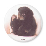 Nipper Magnet