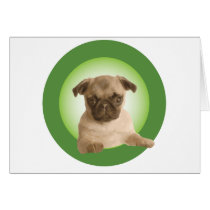 NIPRA Apparel Card