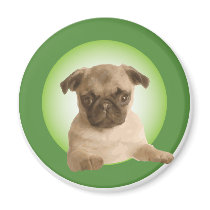 NIPRA Apparel Fridge Magnet
