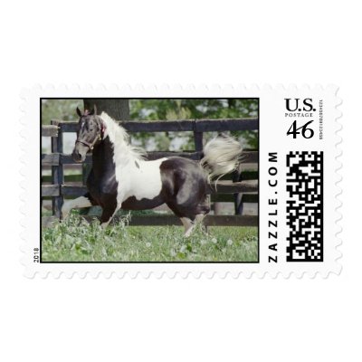 Nite of Fame Stamp by BaSparkle26