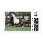 Nite of Fame Stamp