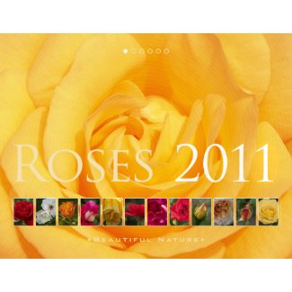 (no. 1) Roses 2011: Beautiful Nature - Calendar calendar