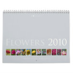 (no. 2) Flowers 2010: Beautiful Nature - Calendar