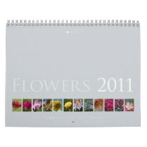 (no. 2) Flowers 2010: Beautiful Nature - Calendar