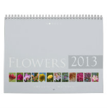 (no. 2) Flowers 2013: Beautiful Nature - Calendar