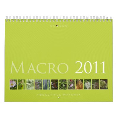 3) Macro 2011: Beautiful Nature - Calendar by Houk_photography