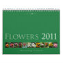 (no. 4) Flowers 2011: Beautiful  Nature - Calendar