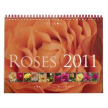 (no. 5) Roses 2011: Beautiful  Nature - Calendar