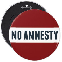 No Amnesty Pins
