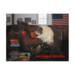 No Animal Testing Postcard