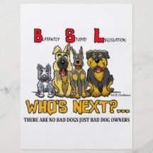 No B.S.L (Blatantly Stupid Legislation) Flyers