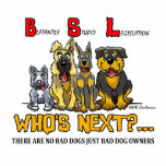 No B.S.L (Blatantly Stupid Legislation)PhotoSculpt Photo Sculpture