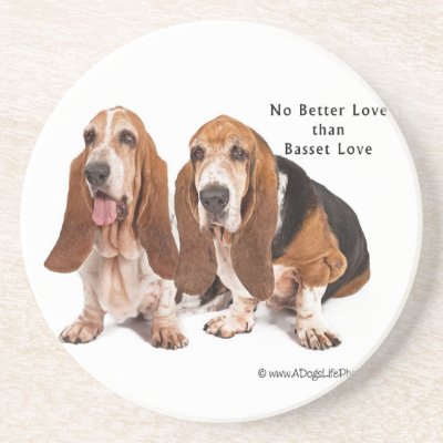 basset love