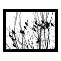 No bird shall fall posters