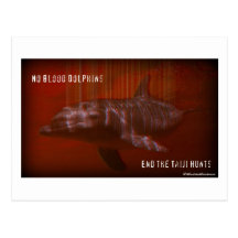 No Blood Dolphins Postcard