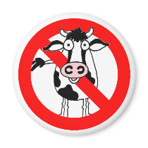 NO BULL! MAGNETS