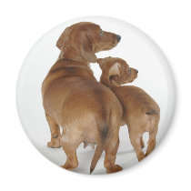 No Butt About it, MAGNET magnets
