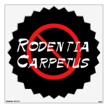 No Carpet Rats Room Graphic