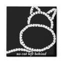 no cat left behind magnets