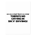 No Crying - Sky Diving Post Card