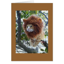 NO DISGUISE-40th BIRTHDAY GROUP Cards