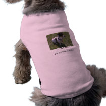 Kein Hund ist perfekt! Hundetraining an It'… hundekleidung