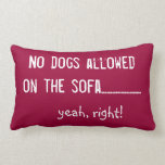No Dogs Allowed Throw Pillow