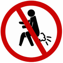 NO Farting ⚠ Funny Thai Toilet Sign ⚠ Acrylic Cut Outs