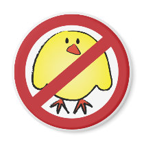 No Fat Chicks! magnets