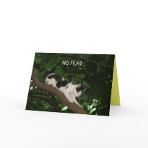 NO FEAR CARD by MAPASUE NO FEAR CARD