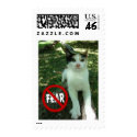 No fear cat products postage