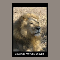 NO FEAR!! posters