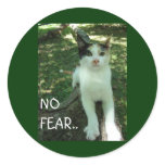 NO FEAR... stickers