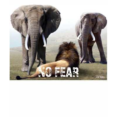 NO FEAR TEE SHIRT by Bilbow