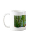 No Fishing! mugs