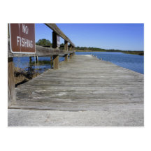 No Fishing Postcard