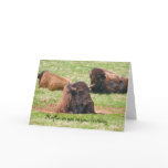 No flies on you on your birthday - Birthday Card
