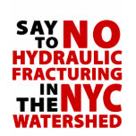 No Fracking NYC Watershed Women's T Tee Shirts