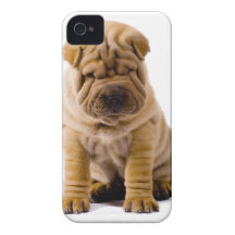 No frowns today! Case-Mate iPhone 4 case
