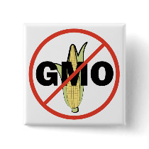 No GMO Pin