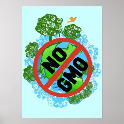 No Gmo Poster Zazzle